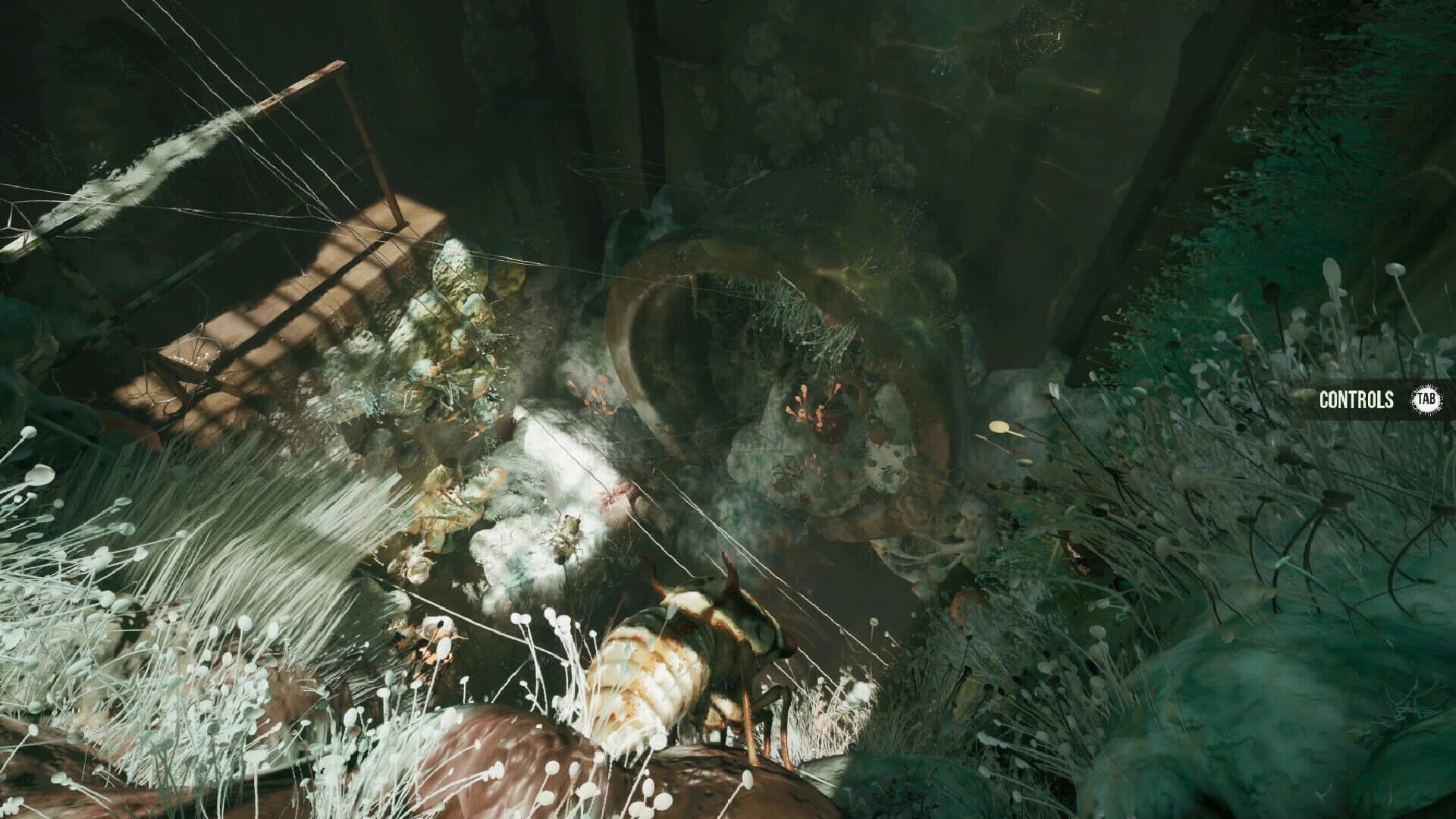 Mold screenshot 5