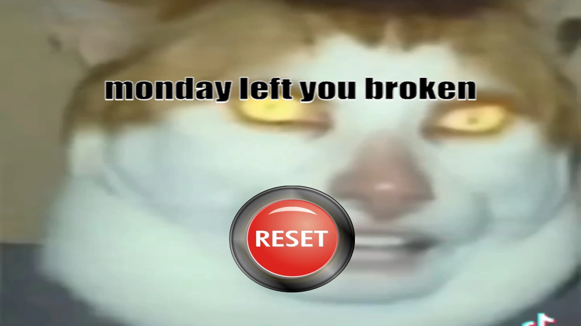 Monday Left Me Broken Collection screenshot 3