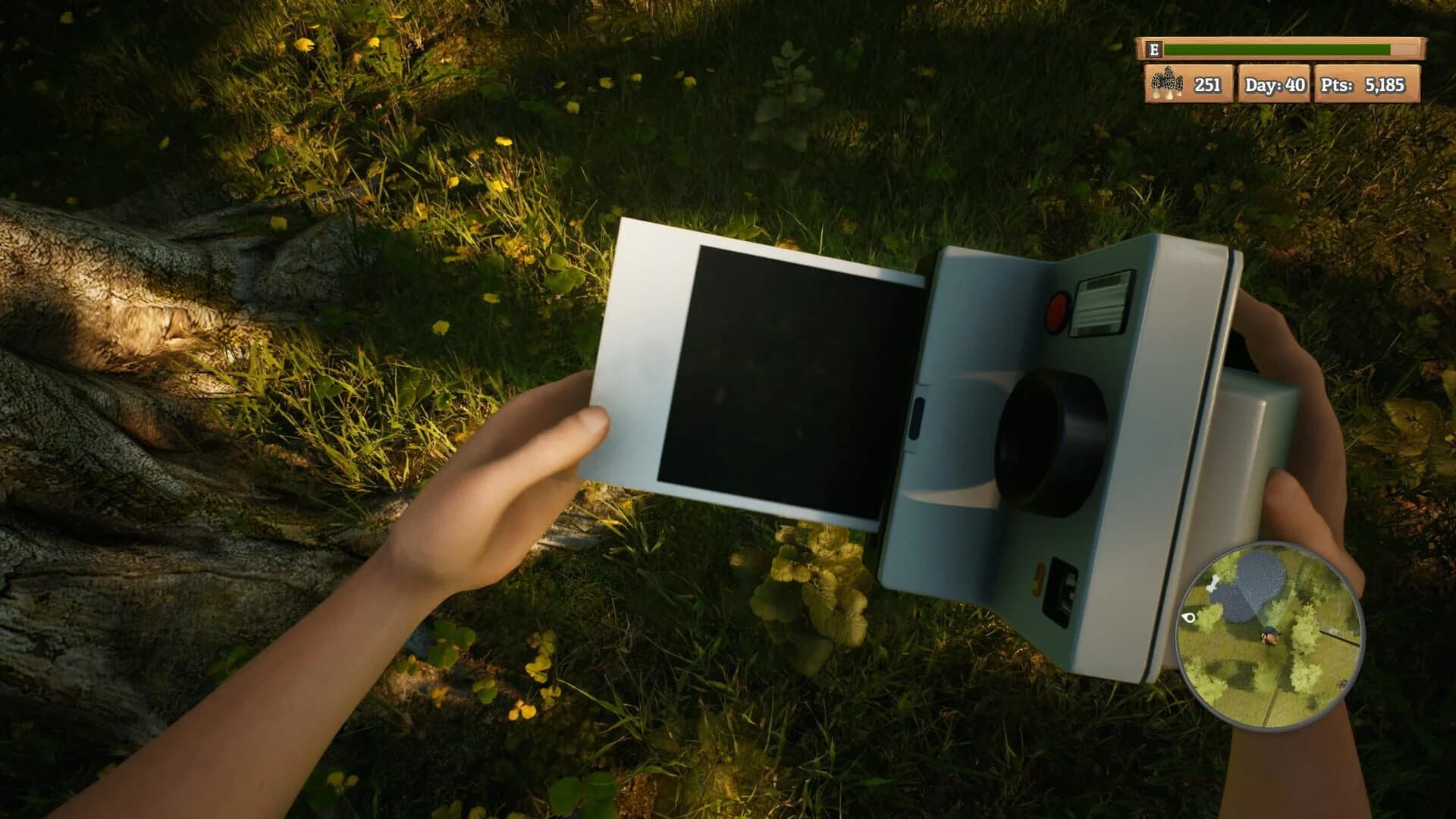 Morels: The Hunt screenshot 5