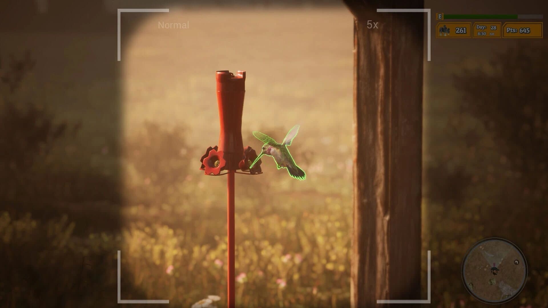 Morels: The Hunt 2 screenshot 1
