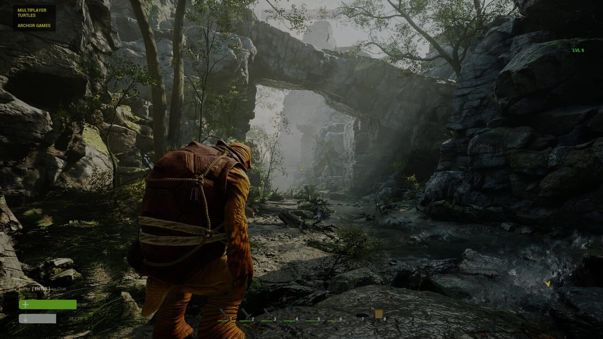 Multiplayer Turtles screenshot 2