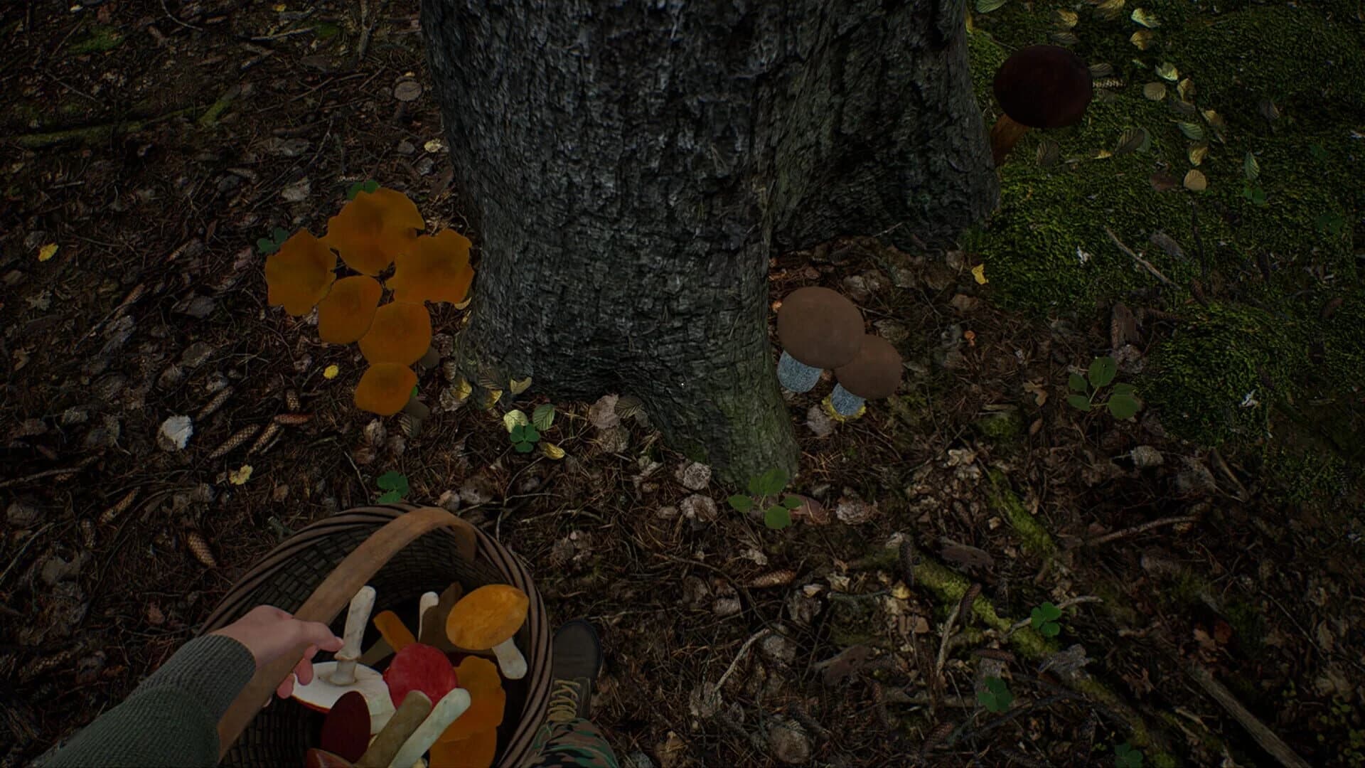 Mushroom Hunter Simulator screenshot 3