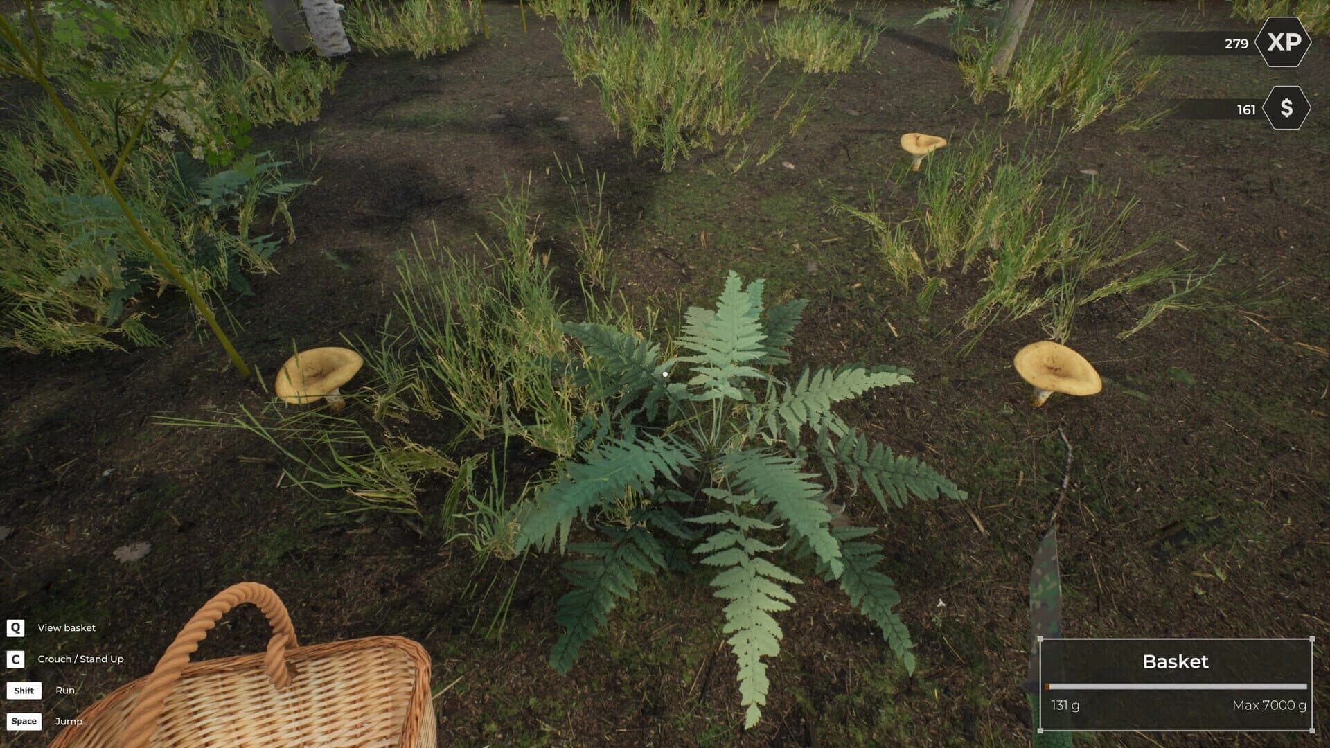 Mushroom Hunter World screenshot 4