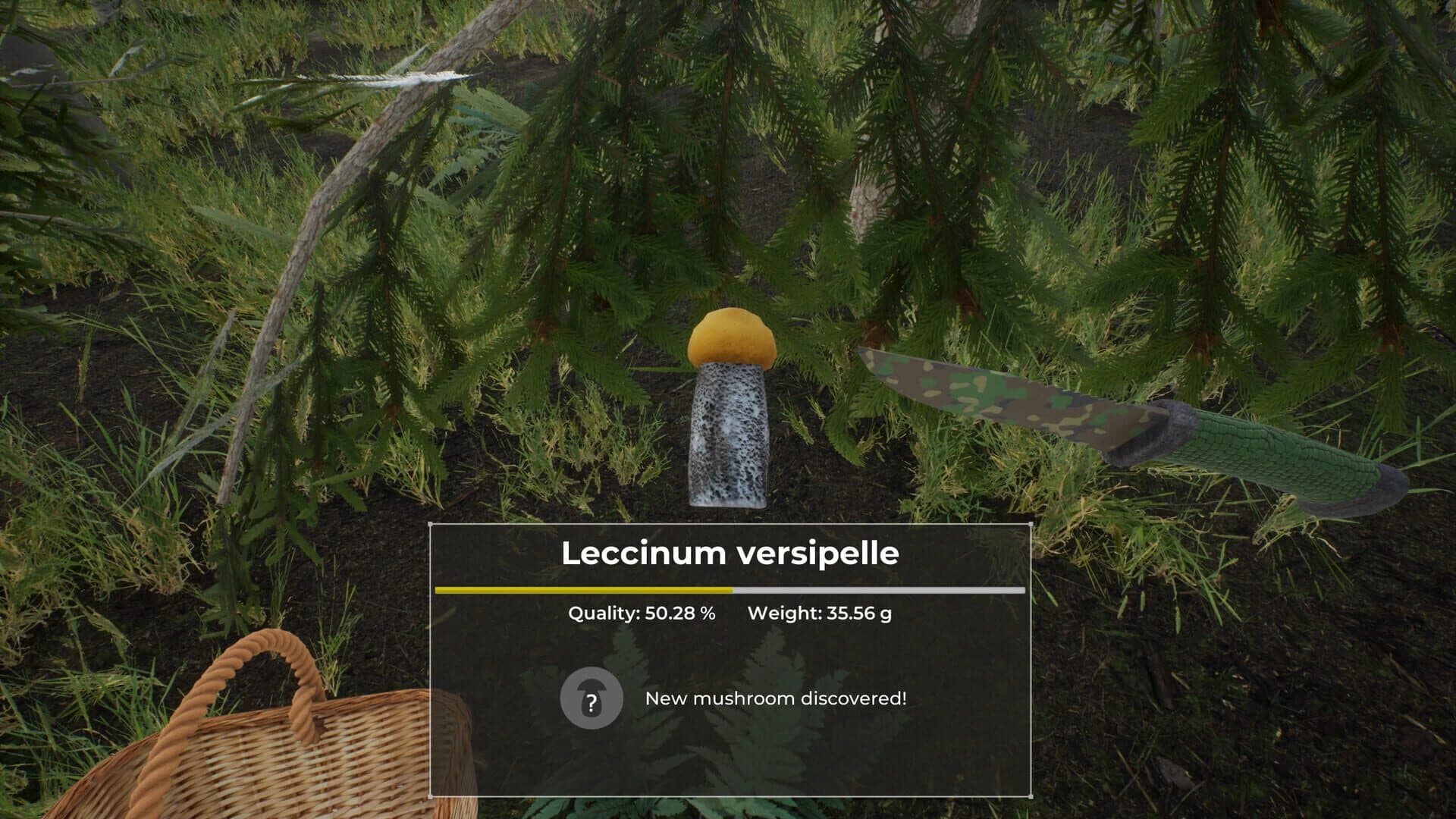 Mushroom Hunter World screenshot 3