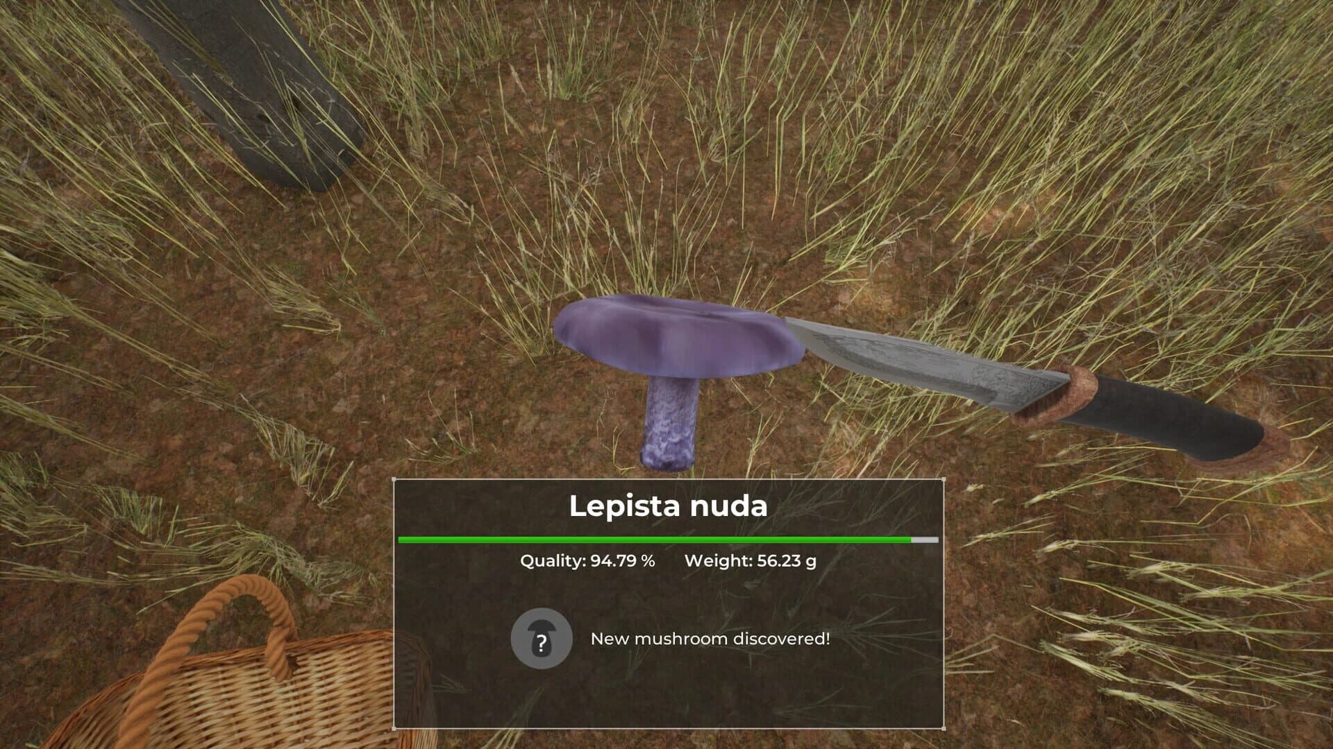 Mushroom Hunter World screenshot 1