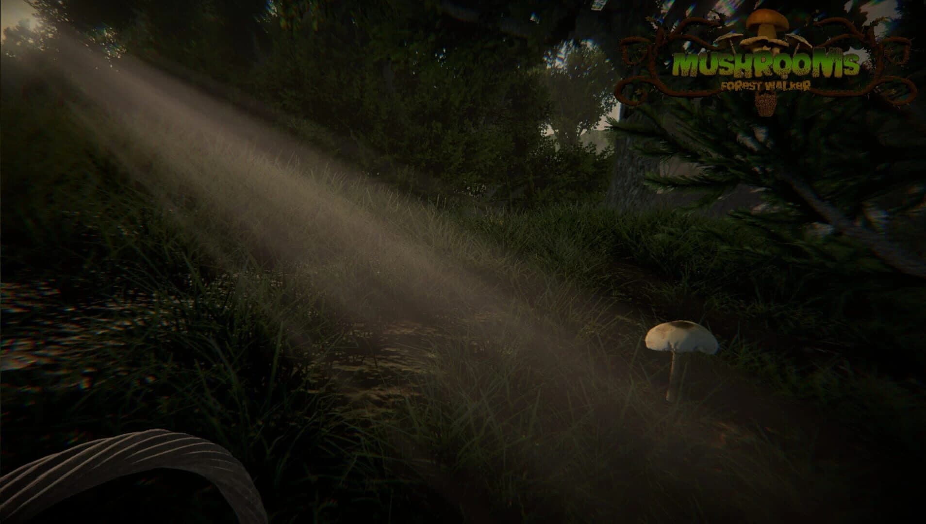 Mushrooms: Forest Walker screenshot 4