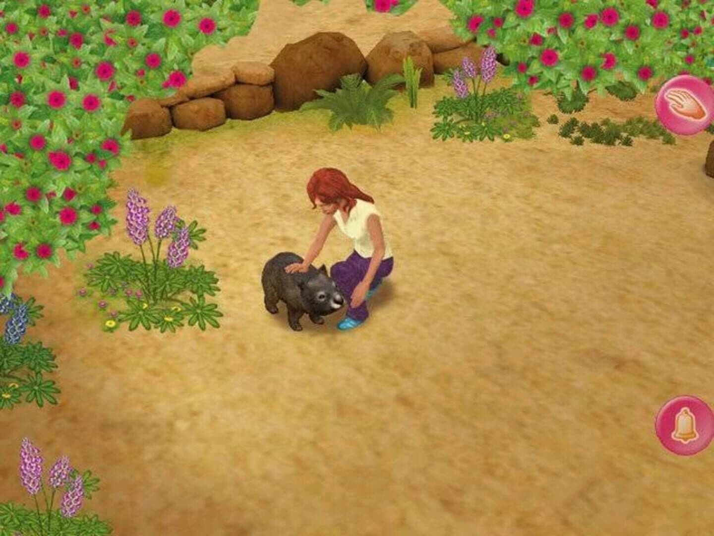 My Animal Centre in Australia screenshot 2