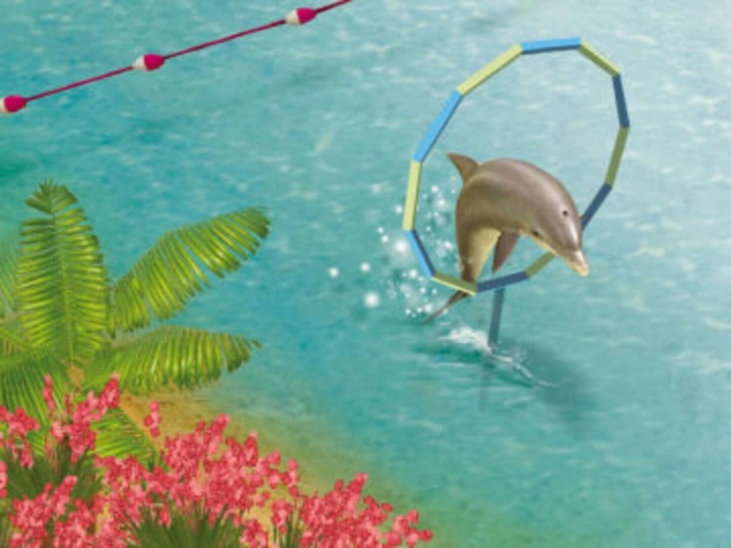 My Animal Centre in Australia screenshot 3