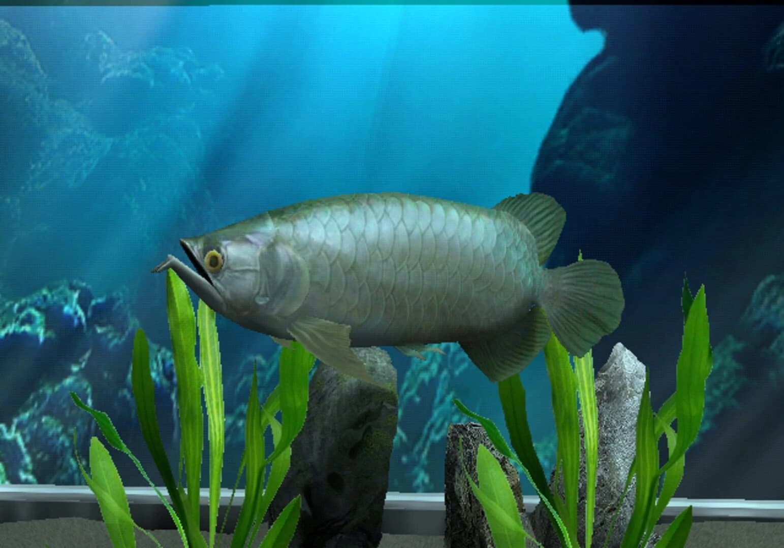 My Aquarium screenshot 1