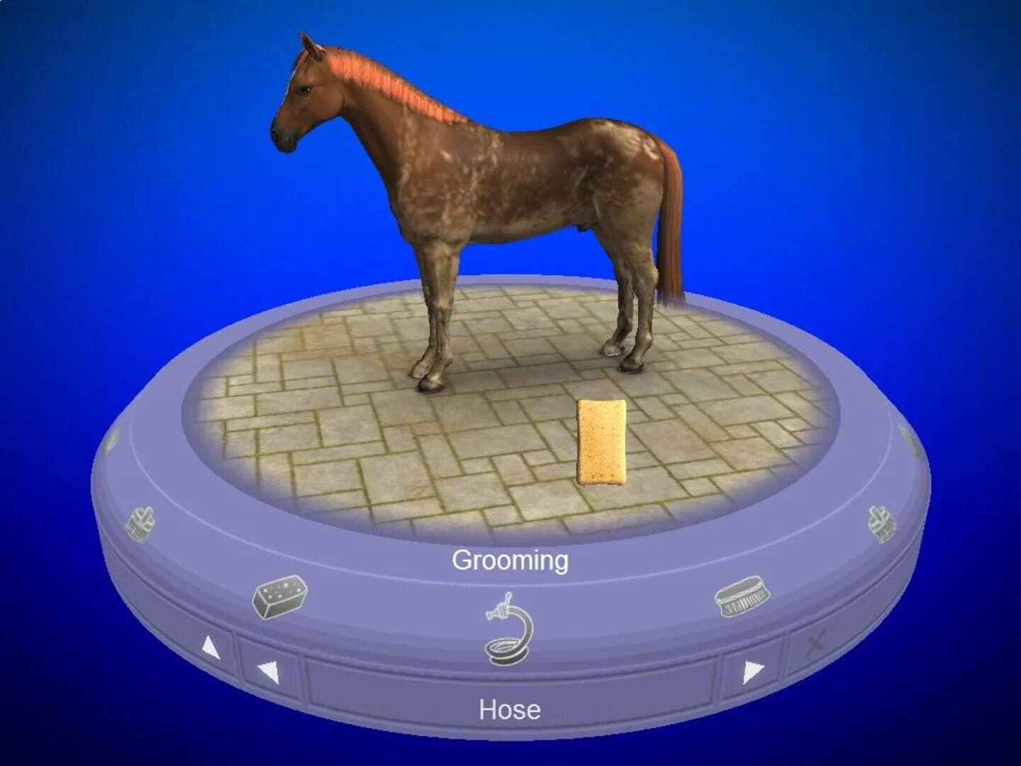 My Horse & Me screenshot 2