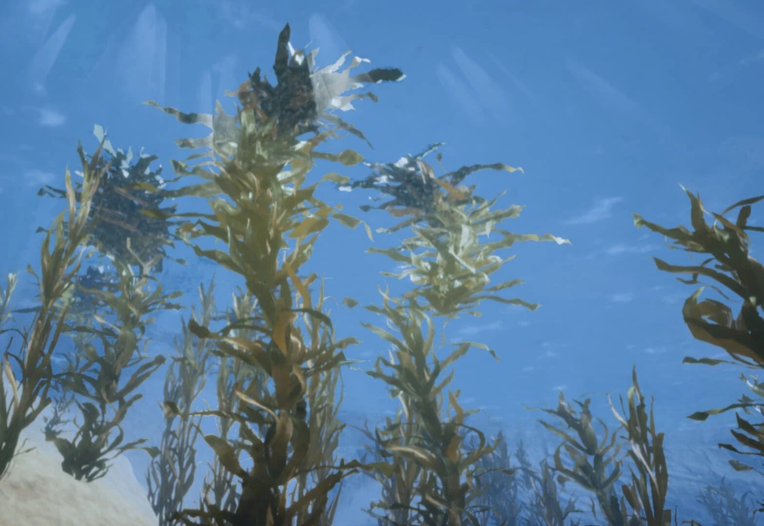 My Ocean Project screenshot 3