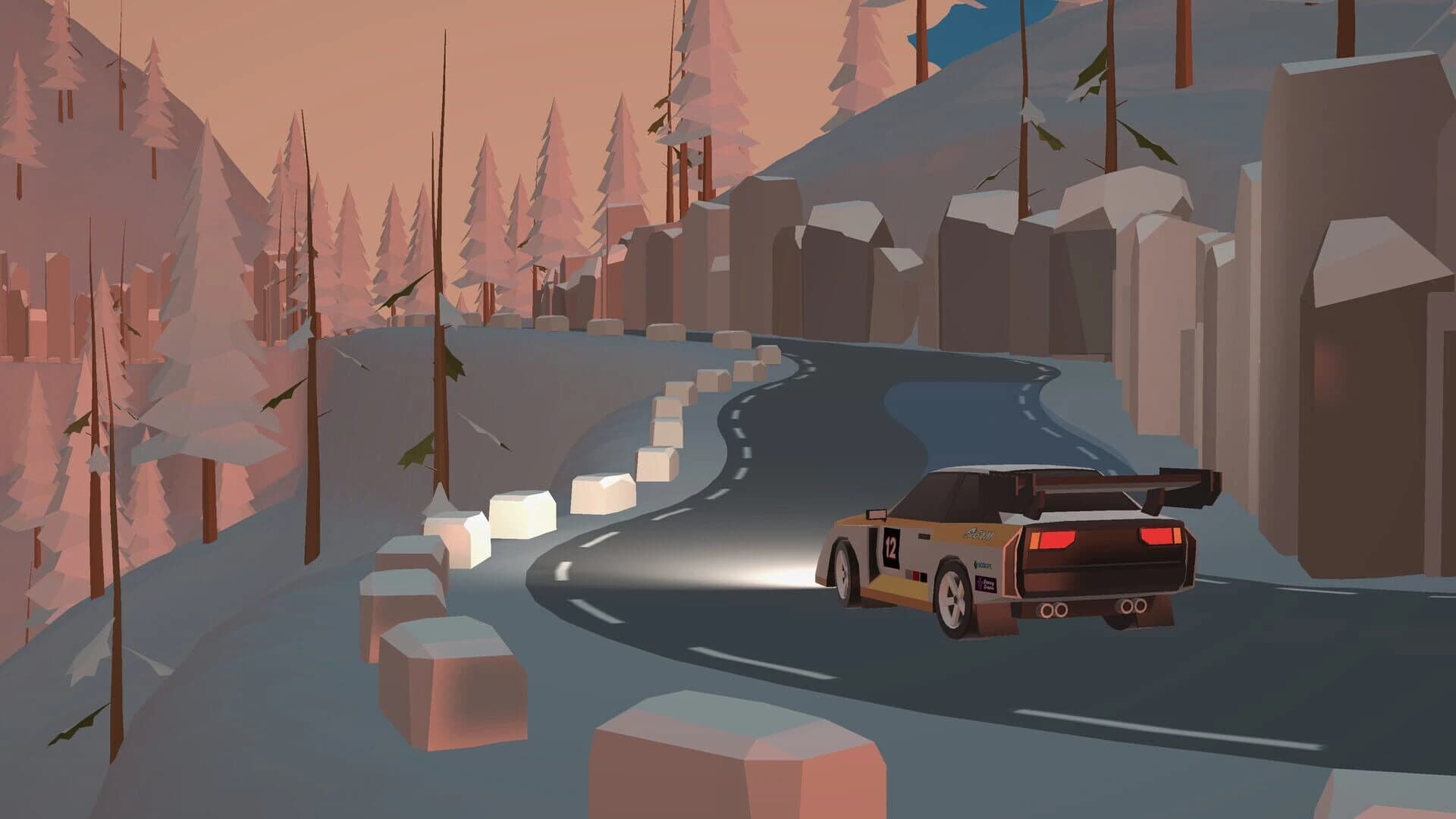 N3Rally screenshot 4