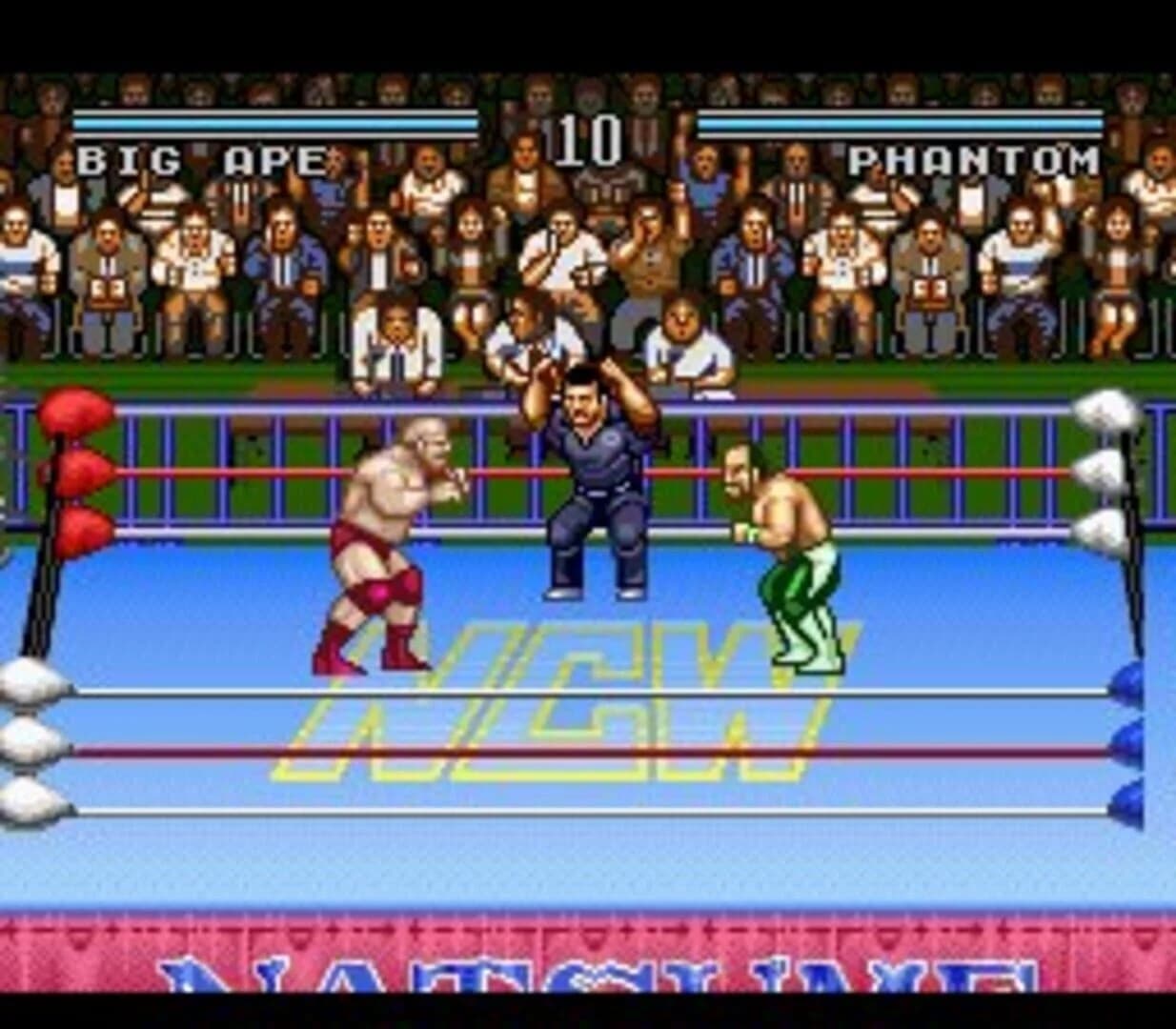 Natsume Championship Wrestling screenshot 3