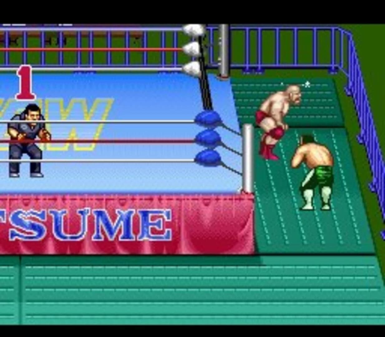 Natsume Championship Wrestling screenshot 5
