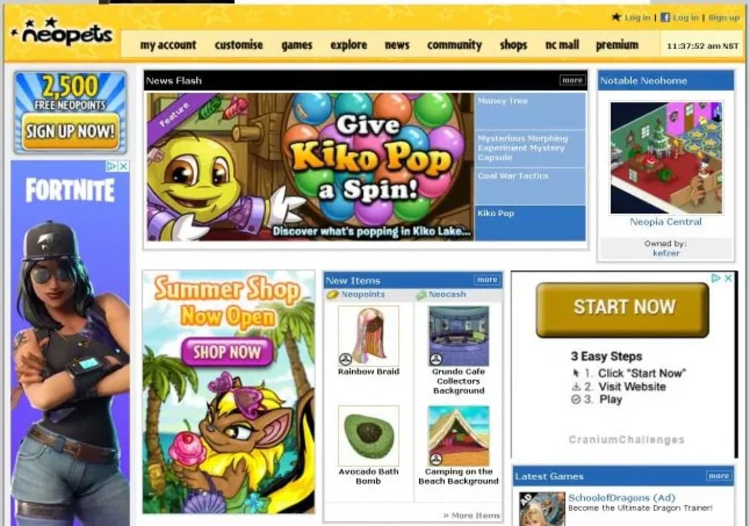 Neopets Browser screenshot 1