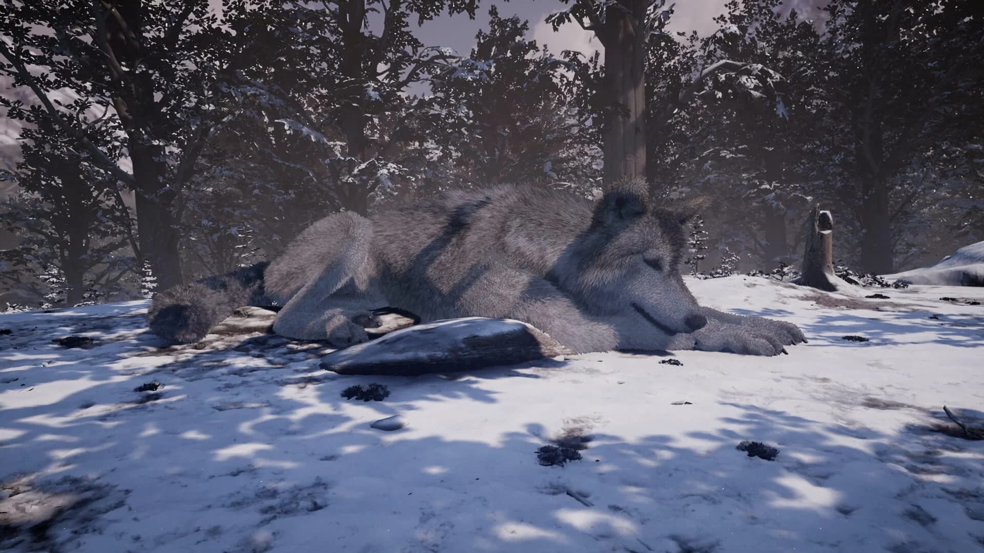 Nephise screenshot 5