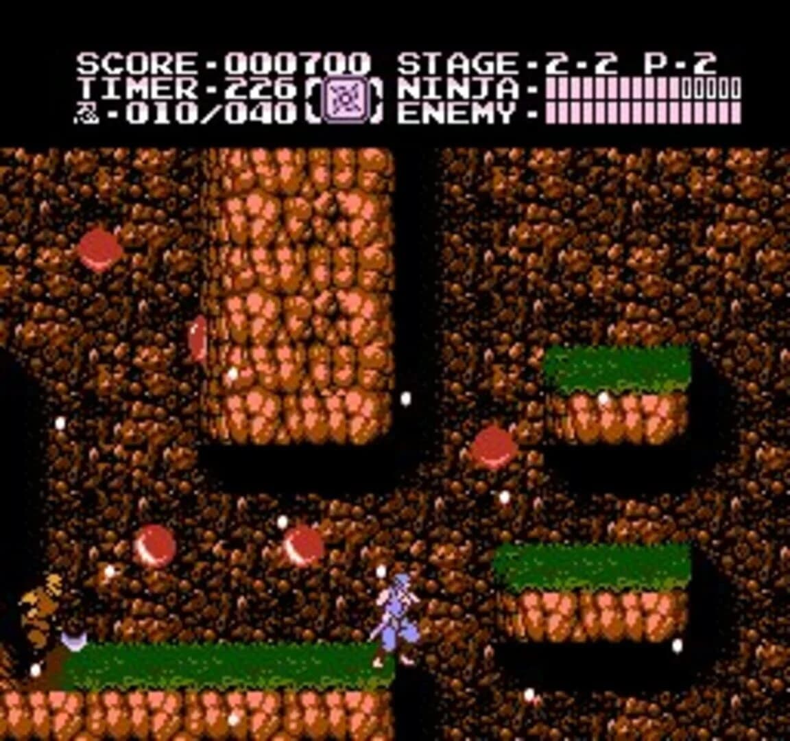 Ninja Gaiden II: The Dark Sword of Chaos screenshot 2