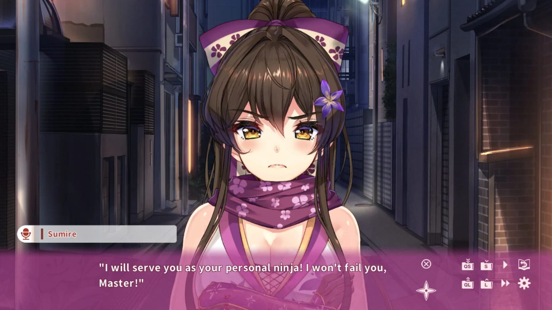 NinNinDays screenshot 4