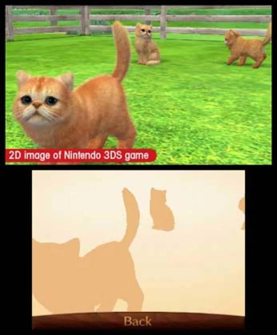 Nintendogs + Cats: Toy Poodle & New Friends screenshot 4