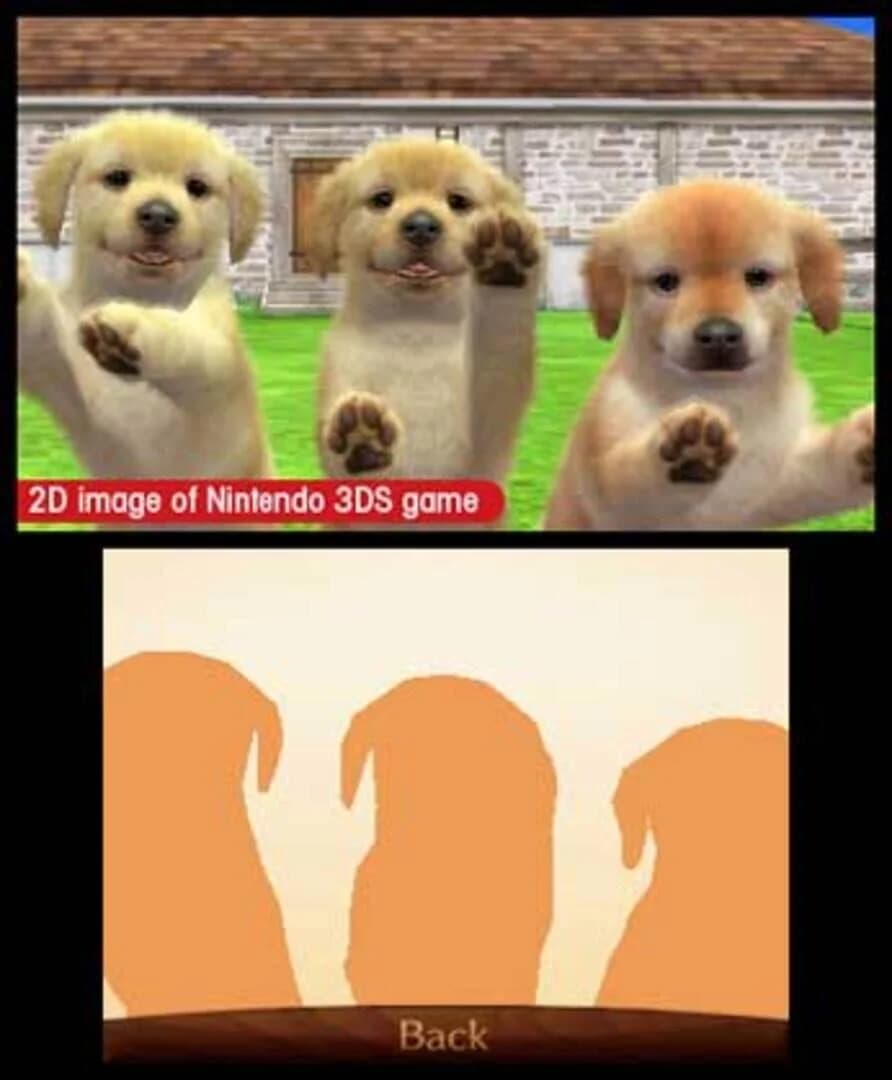 Nintendogs + Cats: Toy Poodle & New Friends screenshot 1