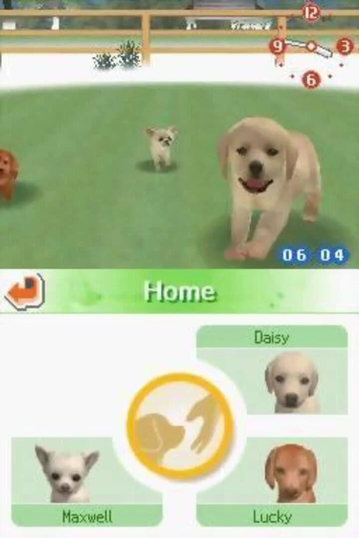Nintendogs: Chihuahua & Friends screenshot 1