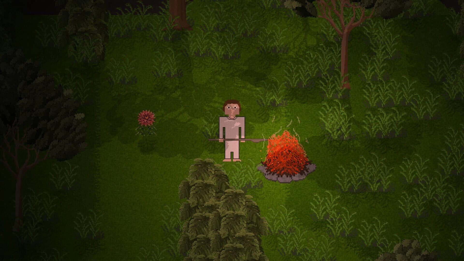 Nocturnal Sun screenshot 4
