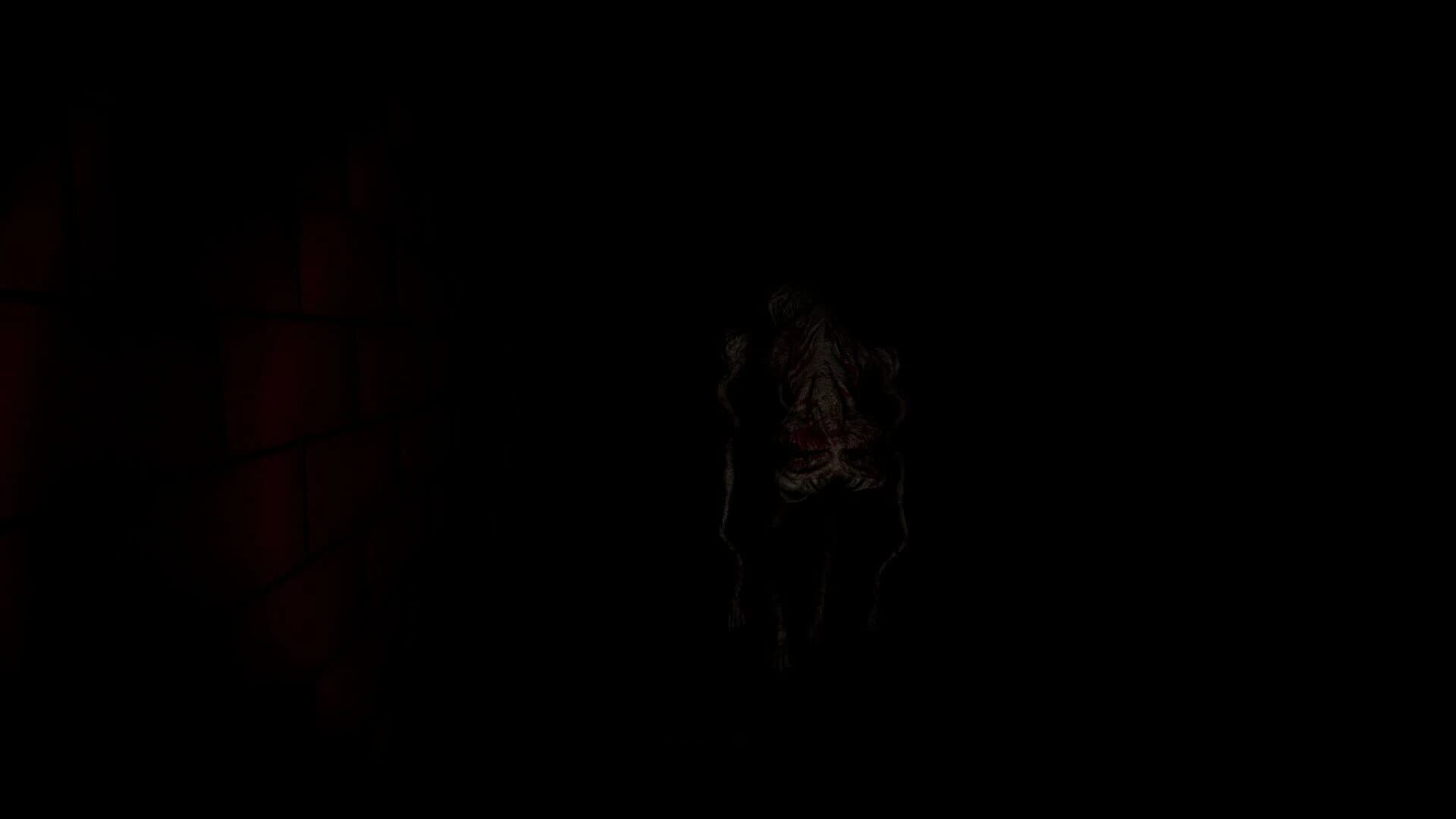 Nox Timore Remake screenshot 5