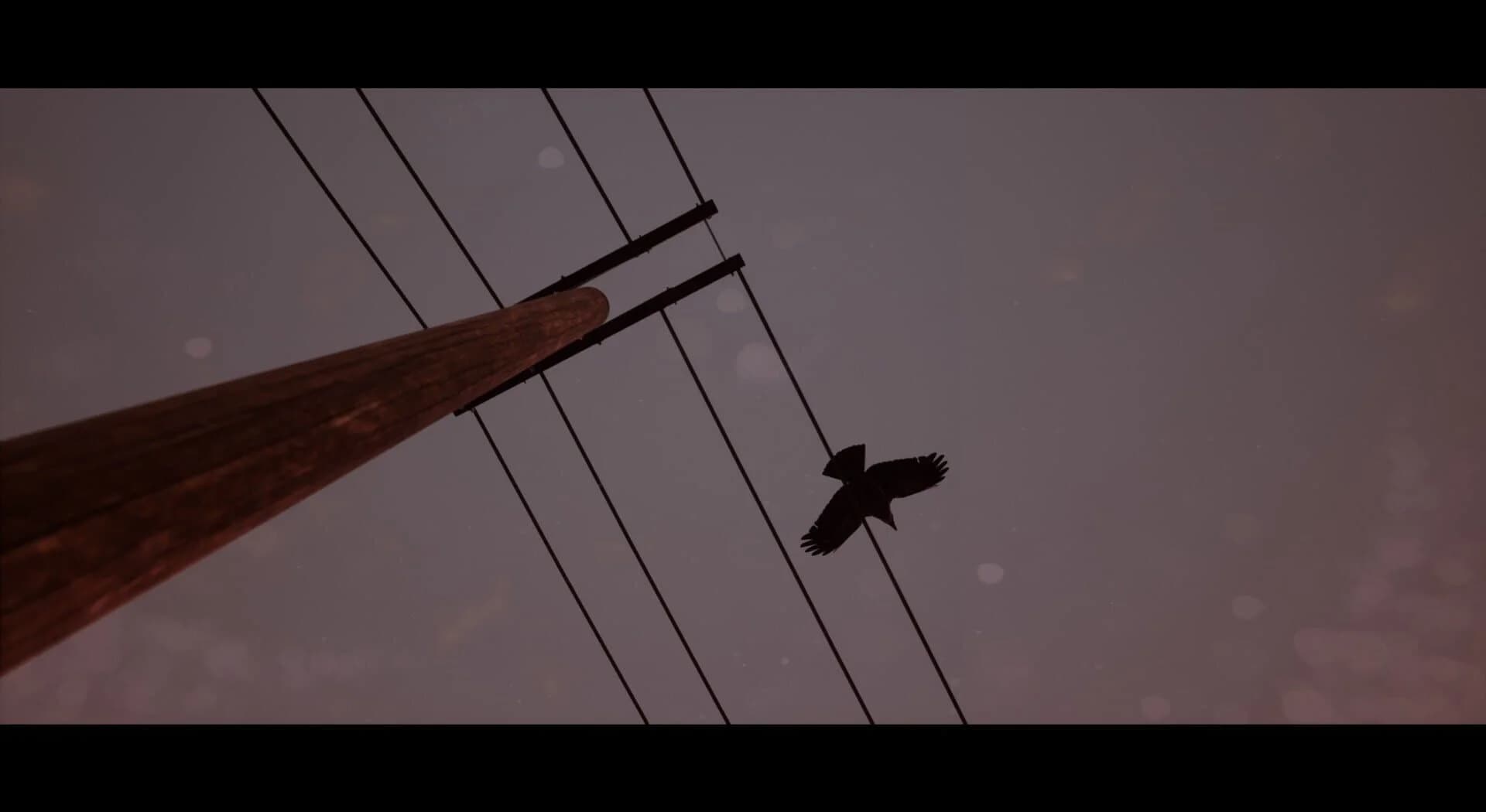 Of Bird and Cage screenshot 1