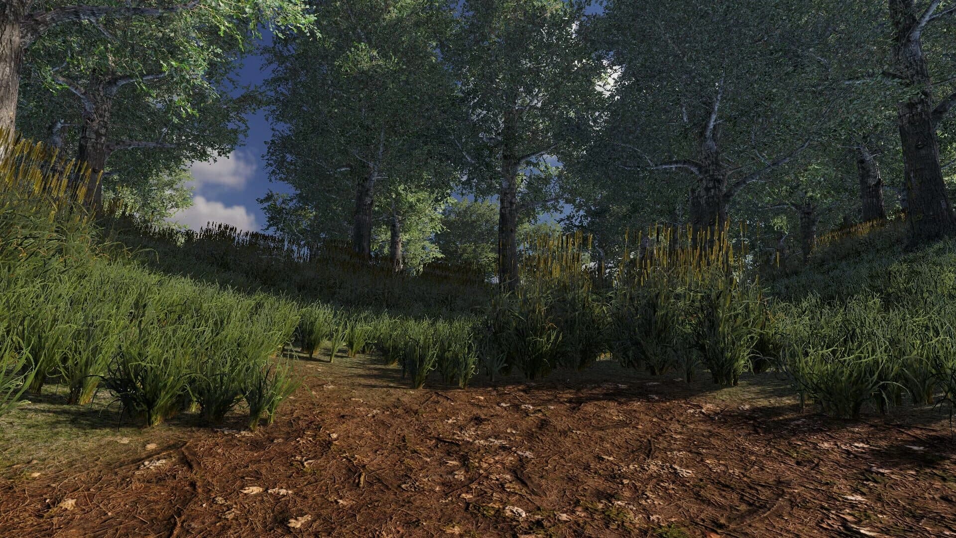 Otar Island screenshot 5