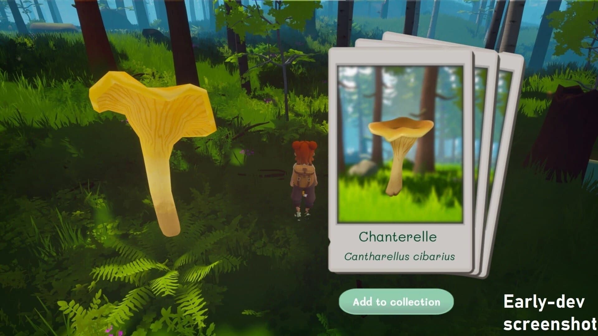 Out and About screenshot 3