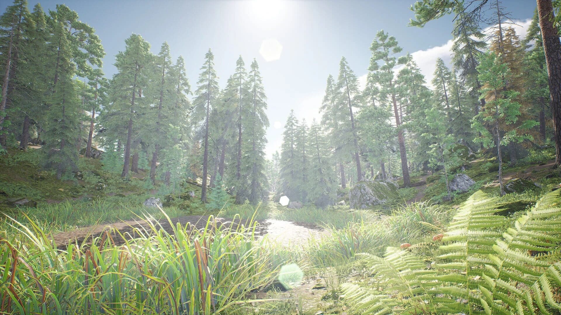 Out of the Woods screenshot 2