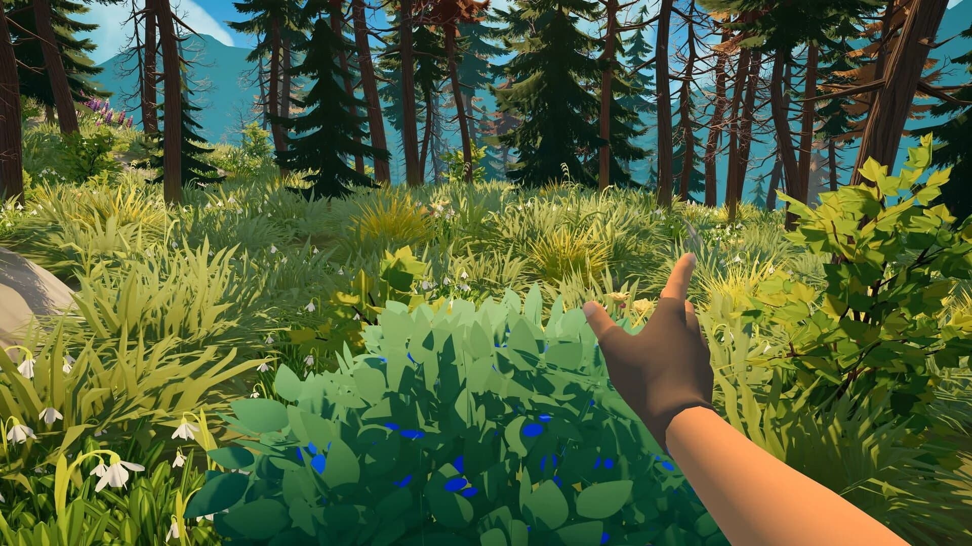 Outbound screenshot 2