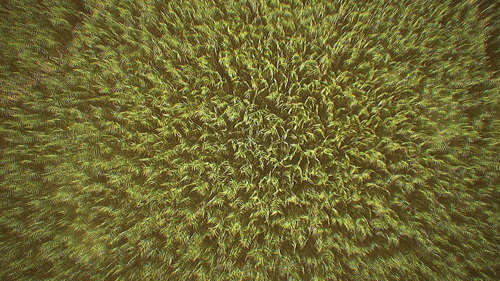 Outfield screenshot 5