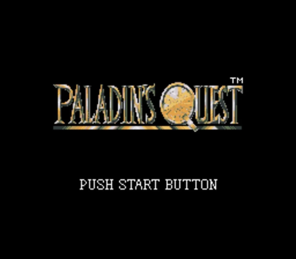 Paladin's Quest screenshot 1