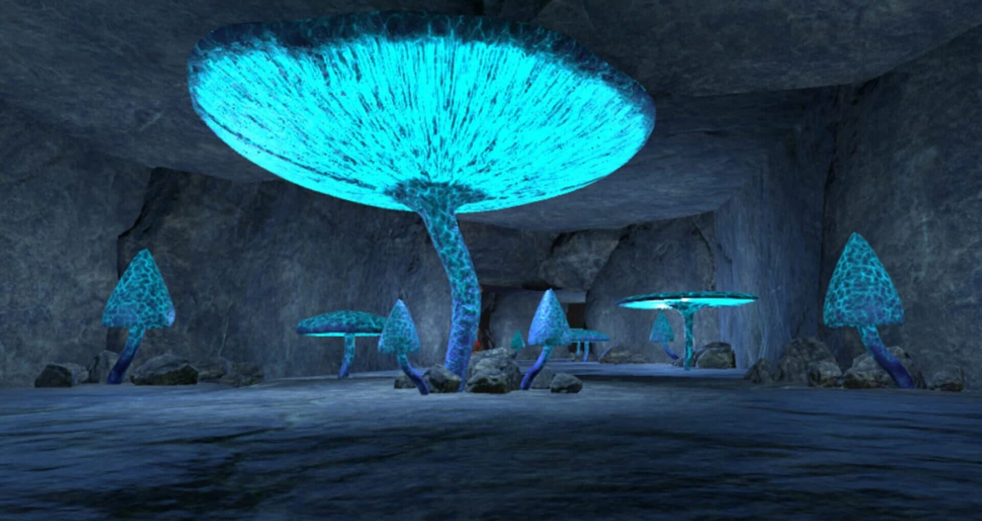 Parameter screenshot 4