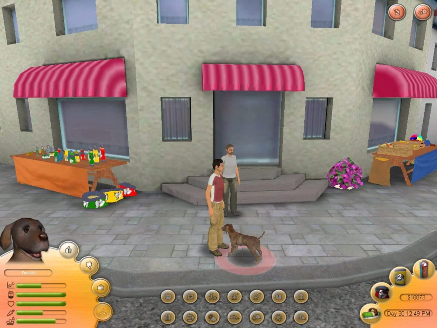 Paws & Claws: Pet School screenshot 1