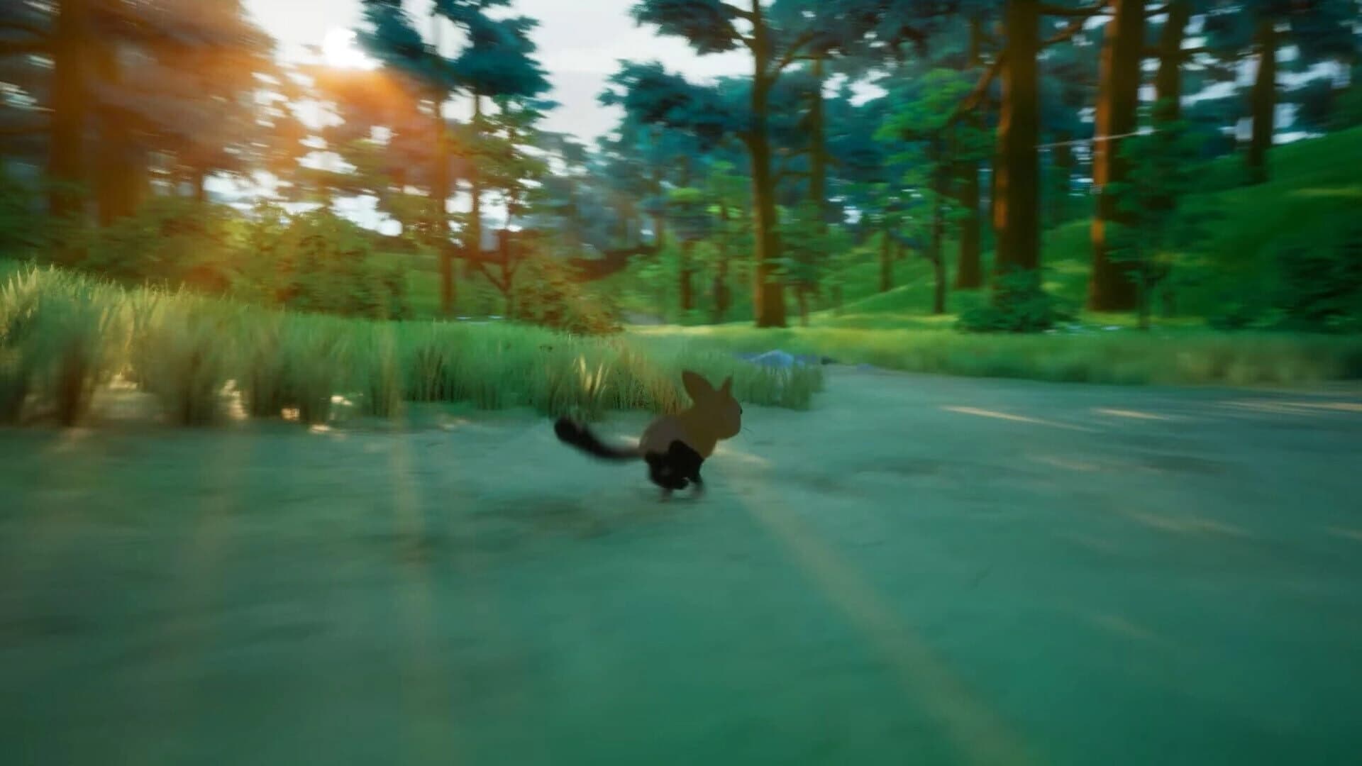 Paws Trail screenshot 5