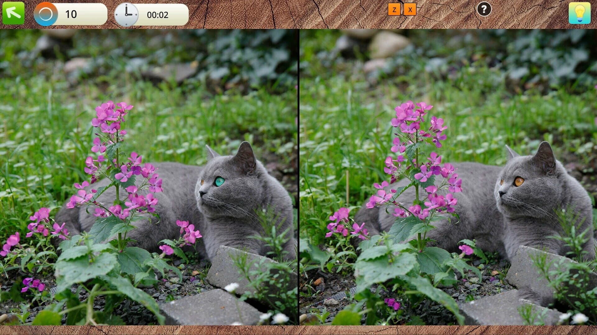 Peaceful Gardens 2: Cute Cats screenshot 2