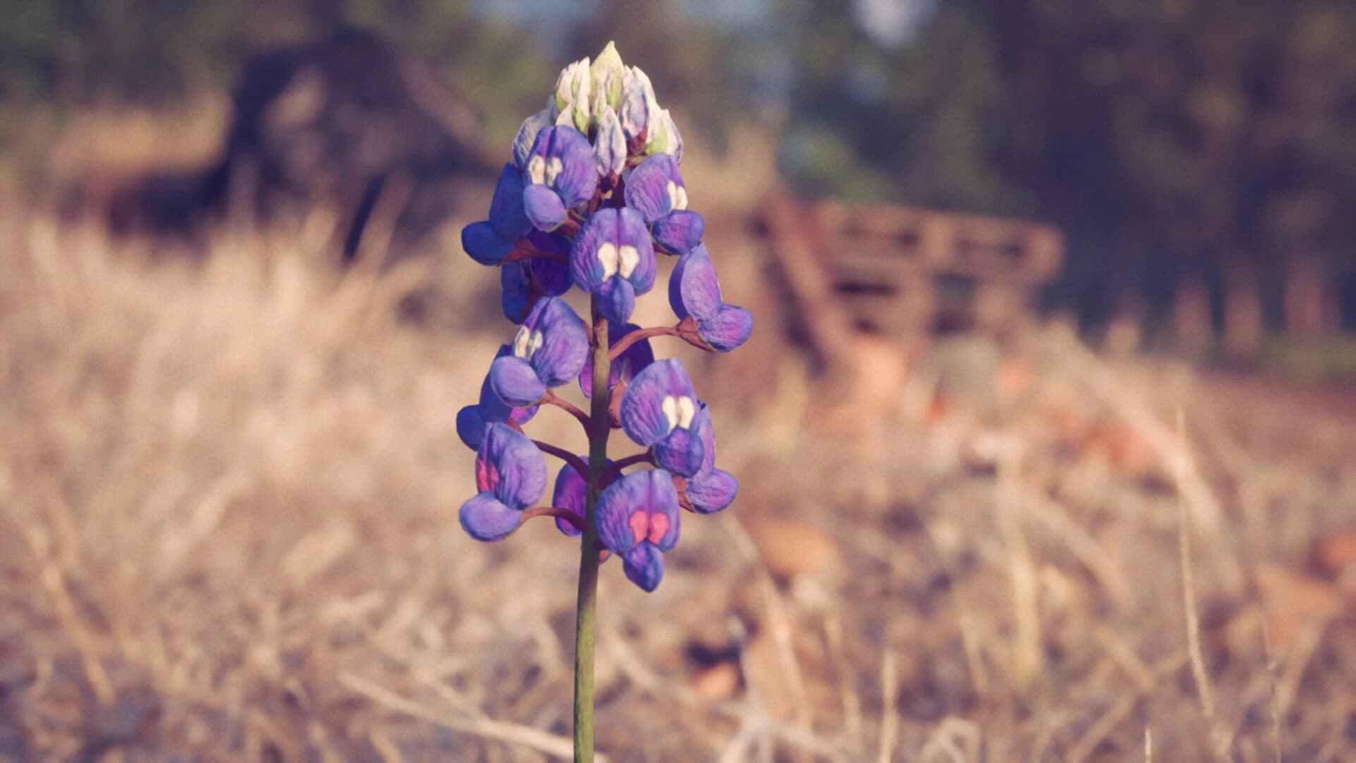 Petals screenshot 1