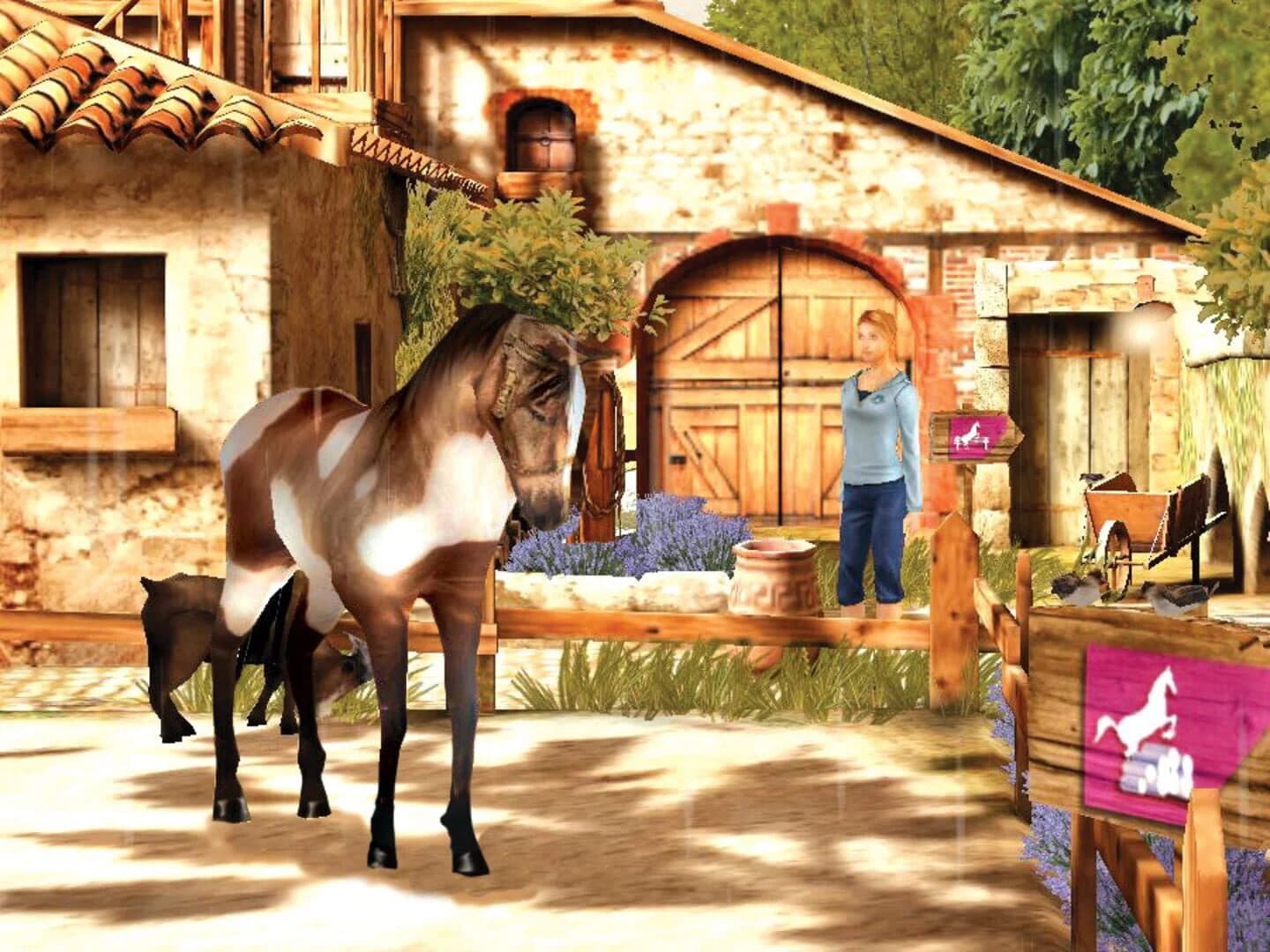Petz: Horsez 2 screenshot 2