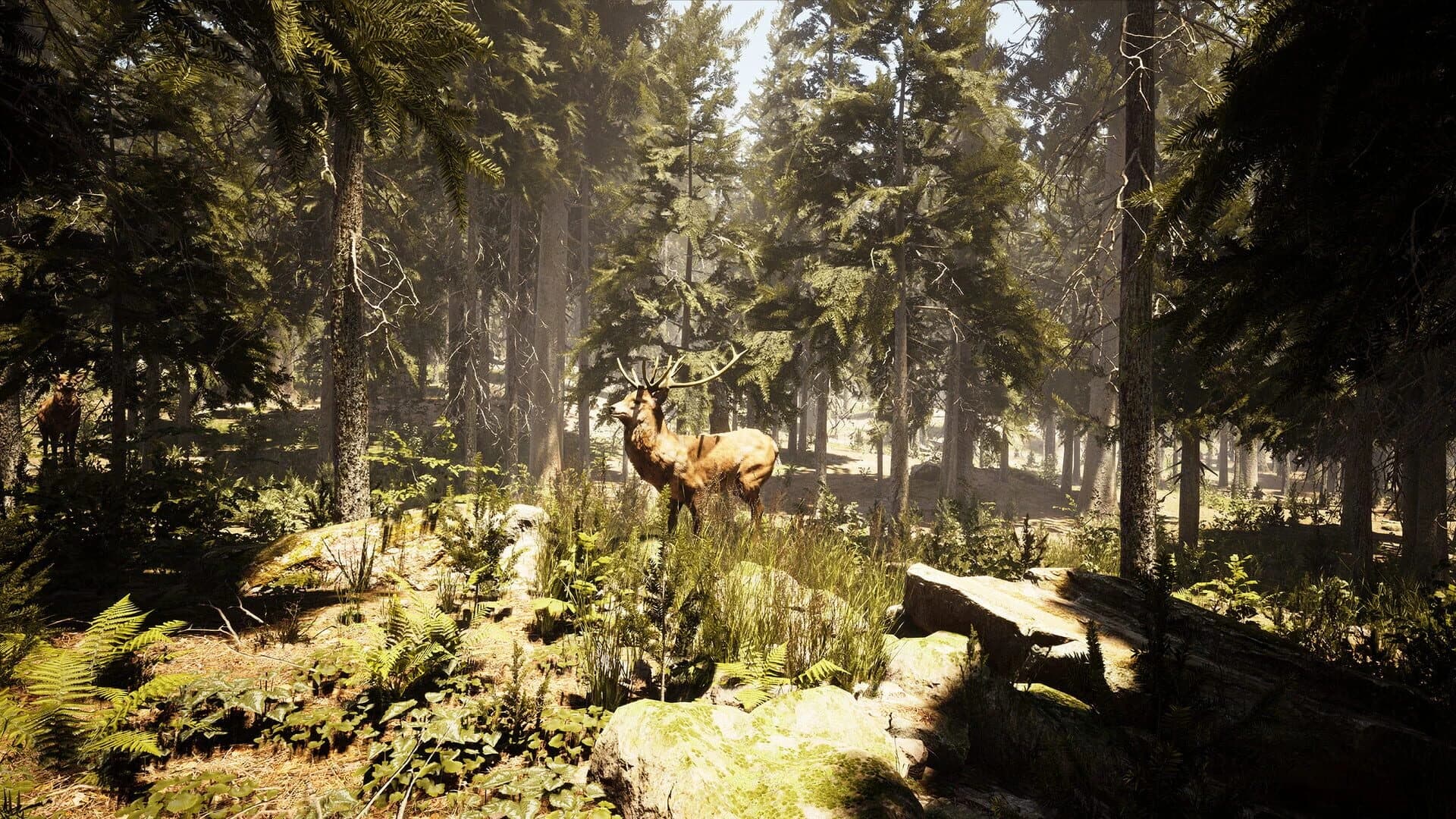 Photography Simulator screenshot 5