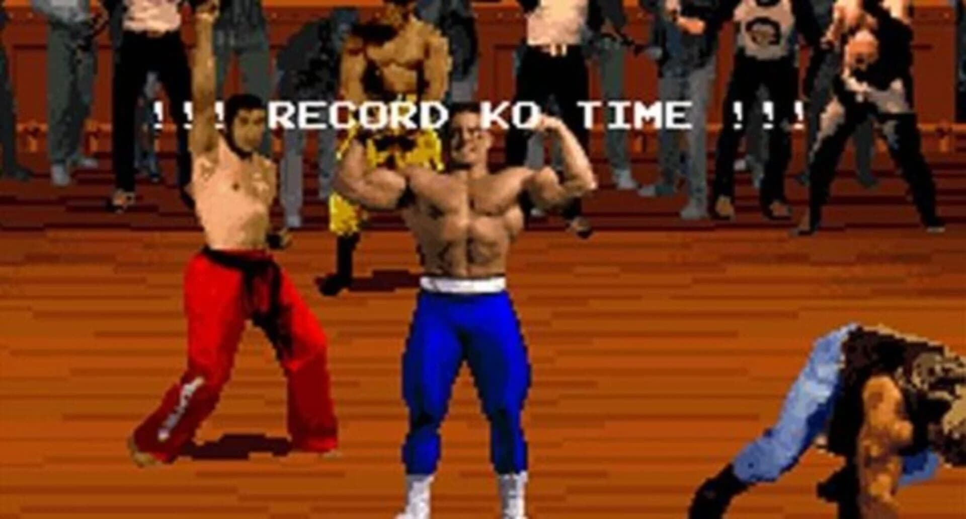 Pit-Fighter screenshot 1