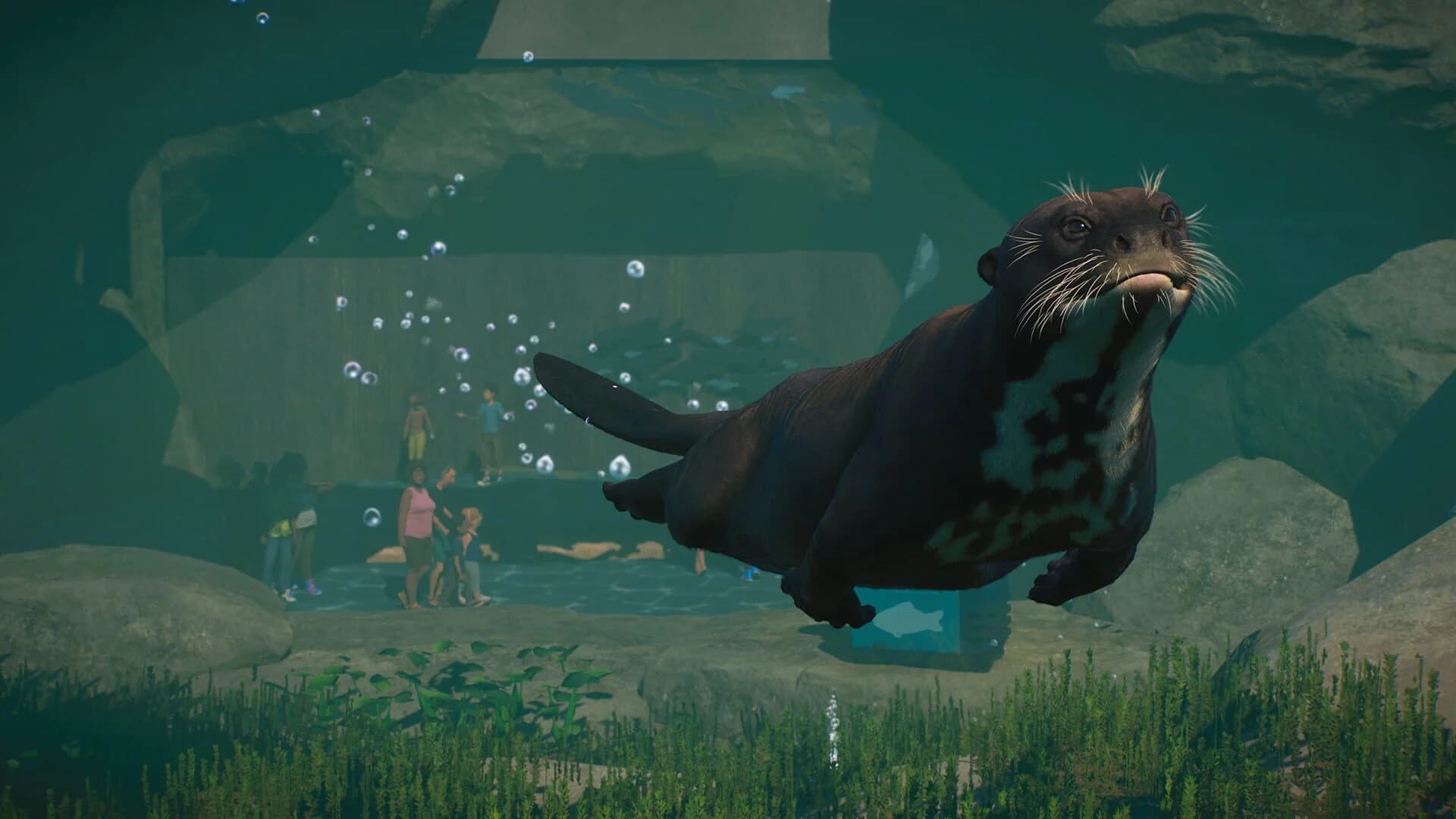 Planet Zoo: Aquatic Pack screenshot 5