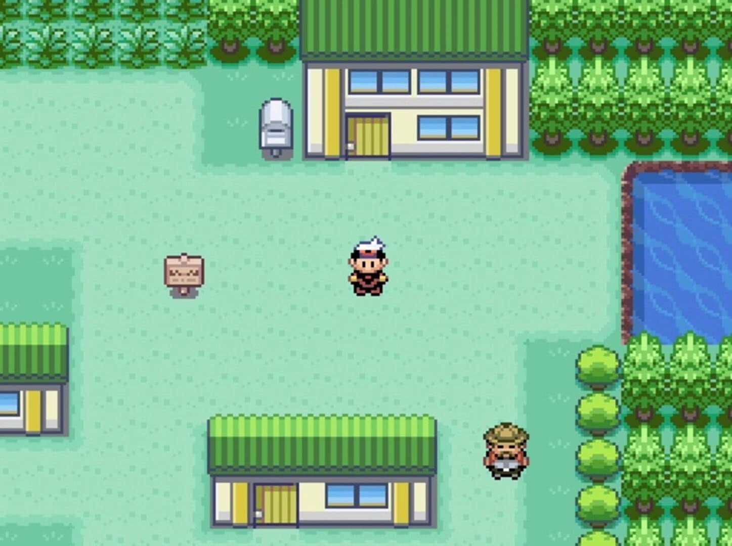 Pokémon Fusion Generation screenshot 2