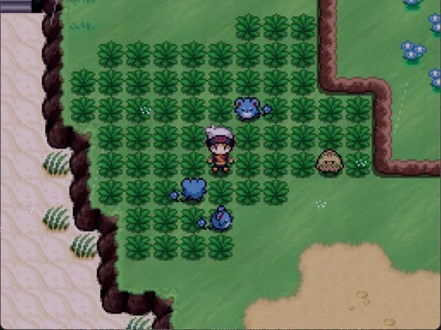 Pokémon Infinite Fusion 2: Hoenn screenshot 4