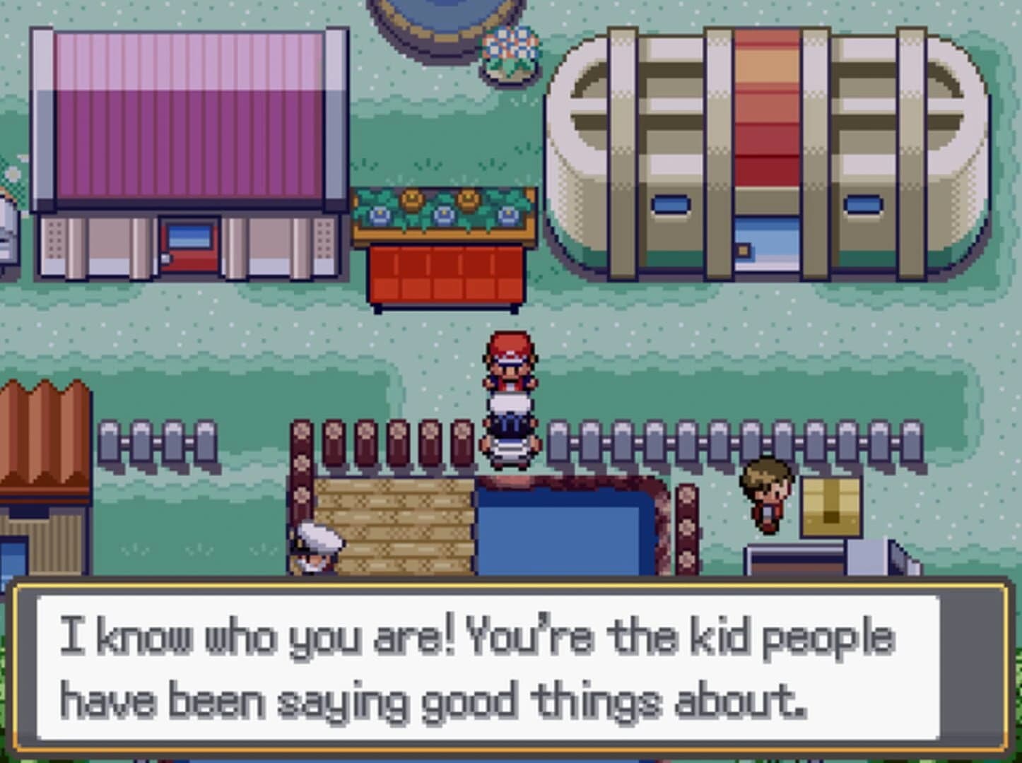Pokémon Pathways screenshot 4