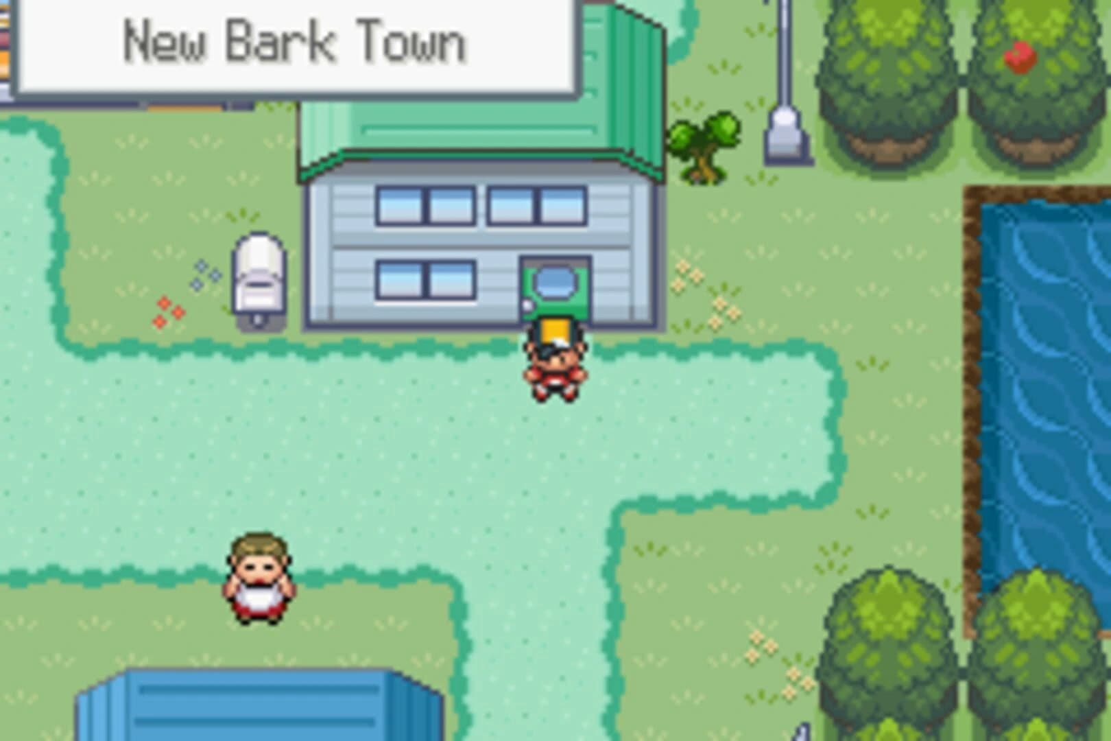 Pokémon Shiny Gold Sigma screenshot 2