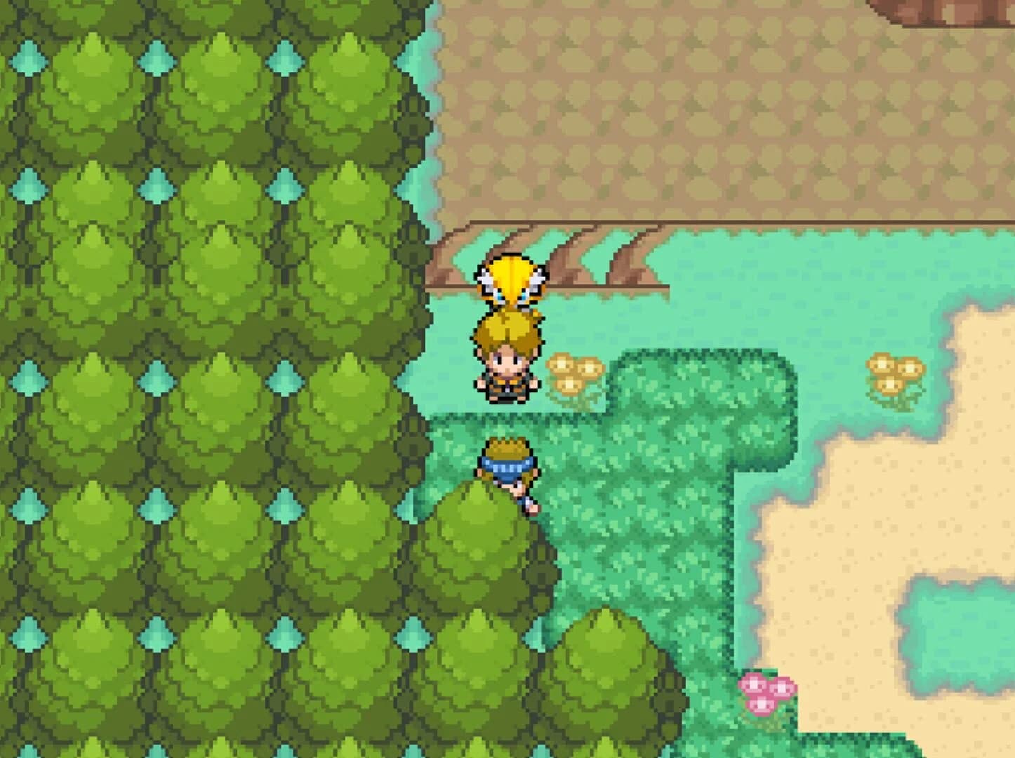 Pokémon Insurgence screenshot 1