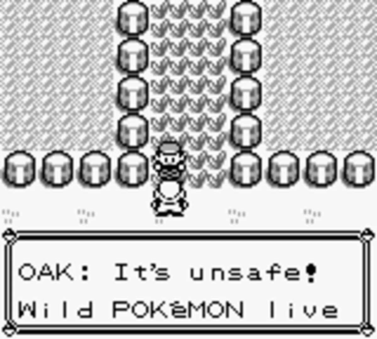 Pokémon Red Version screenshot 2
