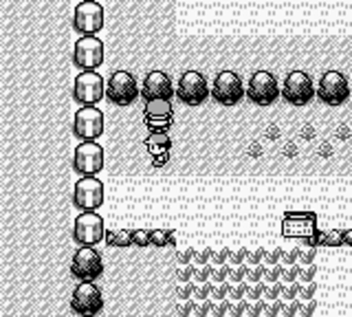 Pokémon Red Version screenshot 1